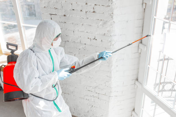 Asbestos and Lead Testing During Mold Inspection